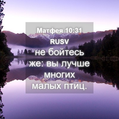 Picture 04 - Матфея 10:31 RUSV - не бойтесь же: вы лучше - Bible Verse Picture