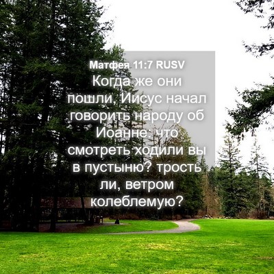 Picture 04 - Матфея 11:7 RUSV - Когда же они пошли, Иисус - Bible Verse Picture