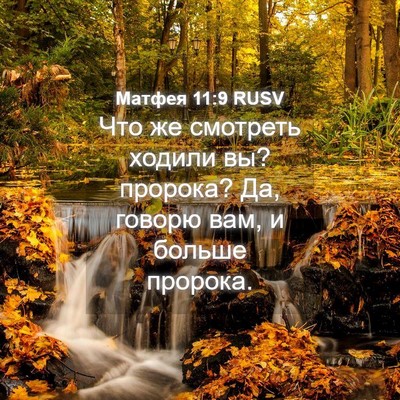 Picture 04 - Матфея 11:9 RUSV - Что же смотреть ходили вы? - Bible Verse Picture
