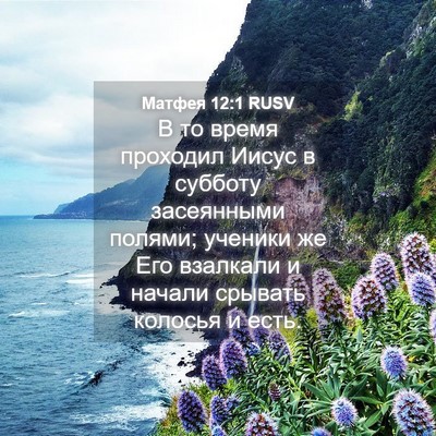 Picture 04 - Матфея 12:1 RUSV - В то время проходил Иисус в - Bible Verse Picture