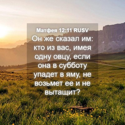 Picture 04 - Матфея 12:11 RUSV - Он же сказал им: кто из вас, - Bible Verse Picture