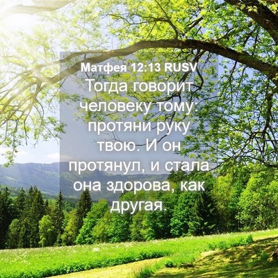 Picture 04 - Матфея 12:13 RUSV - Тогда говорит человеку - Bible Verse Picture
