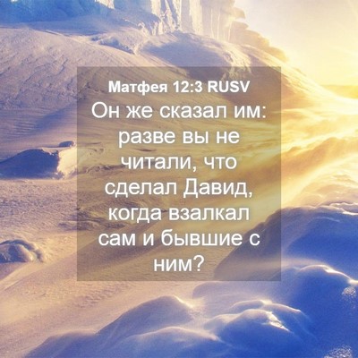 Picture 04 - Матфея 12:3 RUSV - Он же сказал им: разве вы не - Bible Verse Picture
