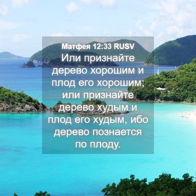 Picture 04 - Матфея 12:33 RUSV - Или признайте дерево - Bible Verse Picture