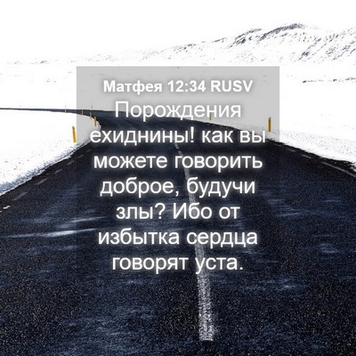 Picture 04 - Матфея 12:34 RUSV - Порождения ехиднины! как - Bible Verse Picture