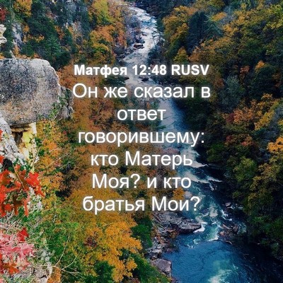 Picture 04 - Матфея 12:48 RUSV - Он же сказал в ответ - Bible Verse Picture