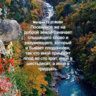 Picture 04 - Матфея 13:23 RUSV - Посеянное же на доброй - Bible Verse Picture