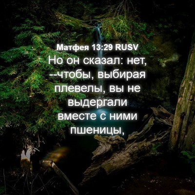 Picture 04 - Матфея 13:29 RUSV - Но он сказал: нет, --чтобы, - Bible Verse Picture