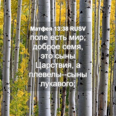 Picture 04 - Матфея 13:38 RUSV - поле есть мир; доброе семя, - Bible Verse Picture