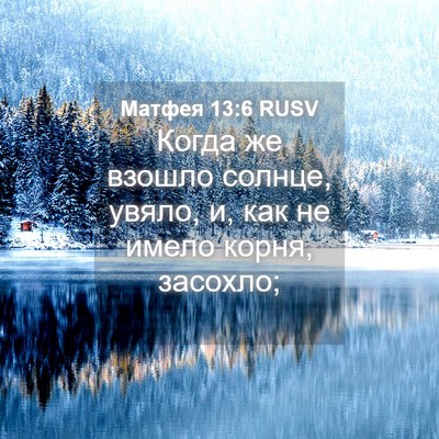 Picture 04 - Матфея 13:6 RUSV - Когда же взошло солнце, - Bible Verse Picture