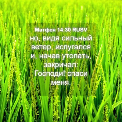 Picture 04 - Матфея 14:30 RUSV - но, видя сильный ветер, - Bible Verse Picture