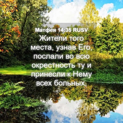 Picture 04 - Матфея 14:35 RUSV - Жители того места, узнав - Bible Verse Picture