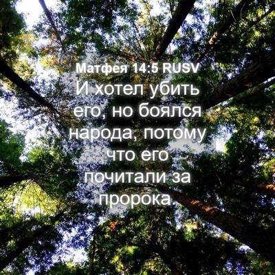 Picture 04 - Матфея 14:5 RUSV - И хотел убить его, но - Bible Verse Picture