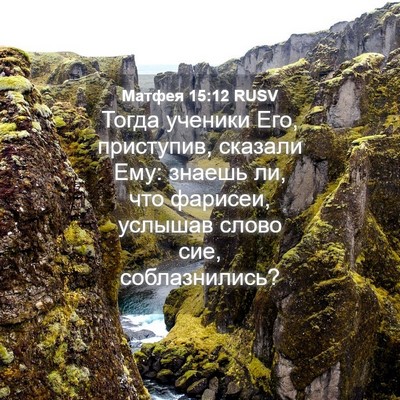 Picture 04 - Матфея 15:12 RUSV - Тогда ученики Его, - Bible Verse Picture