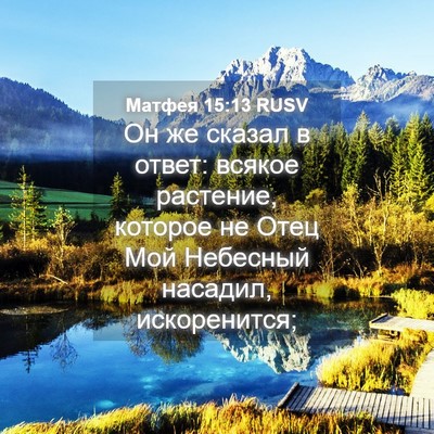Picture 04 - Матфея 15:13 RUSV - Он же сказал в ответ: - Bible Verse Picture