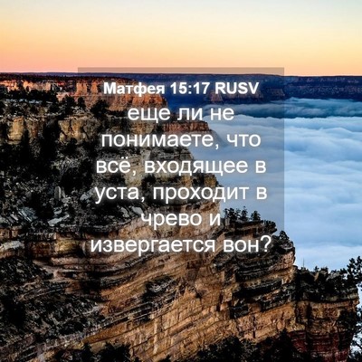Picture 04 - Матфея 15:17 RUSV - еще ли не понимаете, что - Bible Verse Picture
