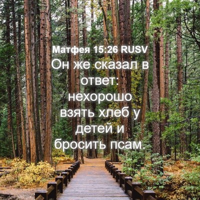 Picture 04 - Матфея 15:26 RUSV - Он же сказал в ответ: - Bible Verse Picture