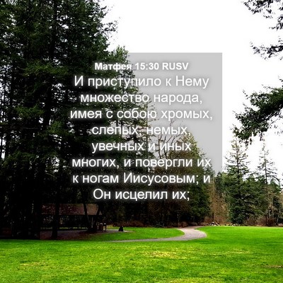 Picture 04 - Матфея 15:30 RUSV - И приступило к Нему - Bible Verse Picture