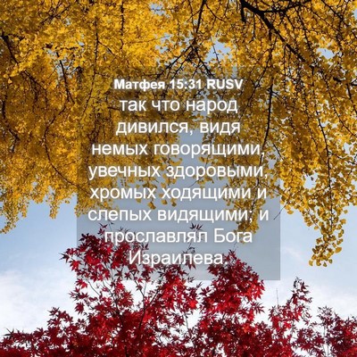 Picture 04 - Матфея 15:31 RUSV - так что народ дивился, видя - Bible Verse Picture