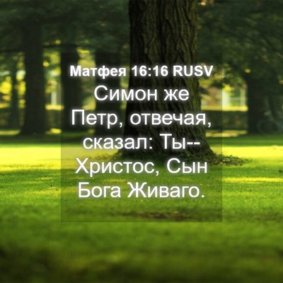 Picture 04 - Матфея 16:16 RUSV - Симон же Петр, отвечая, - Bible Verse Picture