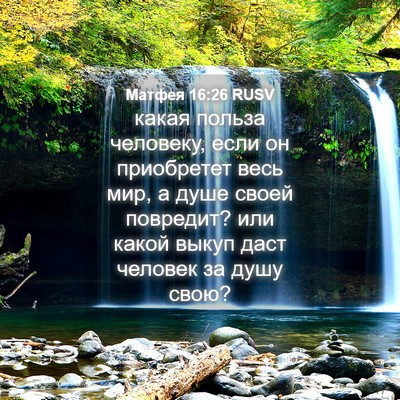 Picture 04 - Матфея 16:26 RUSV - какая польза человеку, - Bible Verse Picture