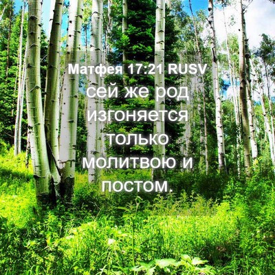 Picture 04 - Матфея 17:21 RUSV - сей же род изгоняется - Bible Verse Picture