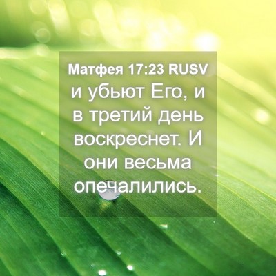 Picture 04 - Матфея 17:23 RUSV - и убьют Его, и в третий день - Bible Verse Picture