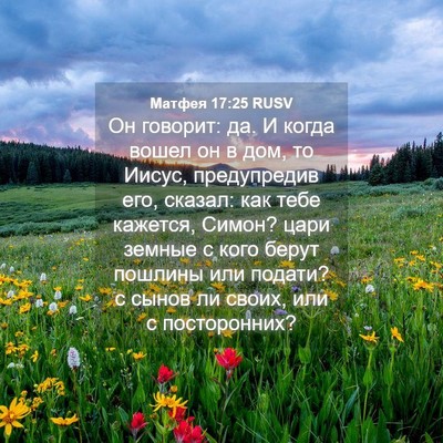 Picture 04 - Матфея 17:25 RUSV - Он говорит: да. И когда - Bible Verse Picture