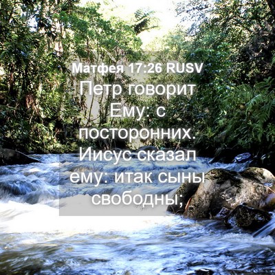 Picture 04 - Матфея 17:26 RUSV - Петр говорит Ему: с - Bible Verse Picture