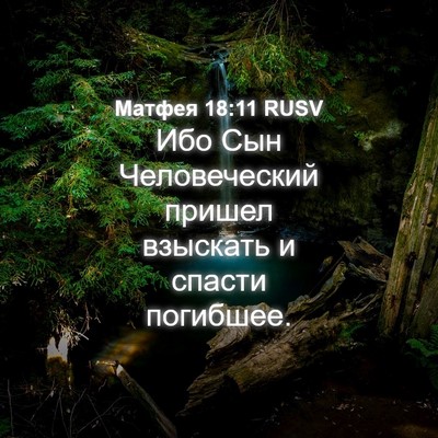 Picture 04 - Матфея 18:11 RUSV - Ибо Сын Человеческий - Bible Verse Picture