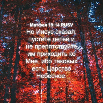Picture 04 - Матфея 19:14 RUSV - Но Иисус сказал: пустите - Bible Verse Picture
