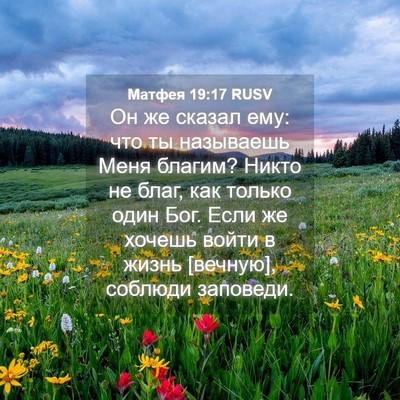 Picture 04 - Матфея 19:17 RUSV - Он же сказал ему: что ты - Bible Verse Picture
