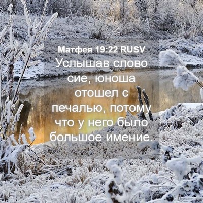 Picture 04 - Матфея 19:22 RUSV - Услышав слово сие, юноша - Bible Verse Picture