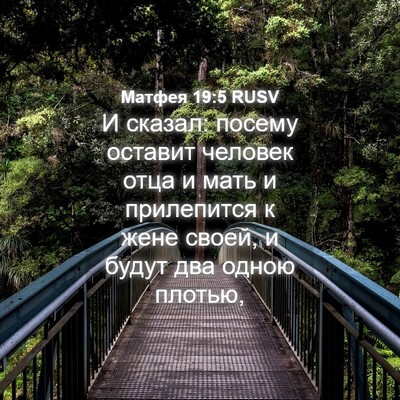 Picture 04 - Матфея 19:5 RUSV - И сказал: посему оставит - Bible Verse Picture