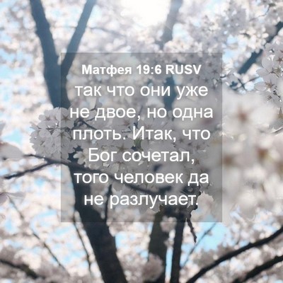 Picture 04 - Матфея 19:6 RUSV - так что они уже не двое, но - Bible Verse Picture