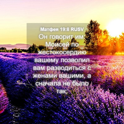 Picture 04 - Матфея 19:8 RUSV - Он говорит им: Моисей по - Bible Verse Picture