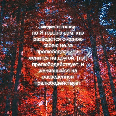 Picture 04 - Матфея 19:9 RUSV - но Я говорю вам: кто - Bible Verse Picture