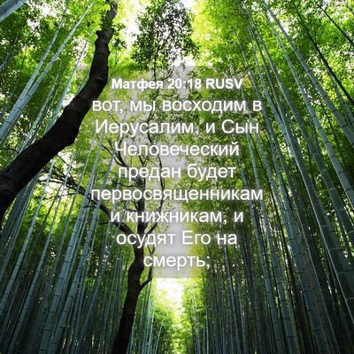 Picture 04 - Матфея 20:18 RUSV - вот, мы восходим в - Bible Verse Picture