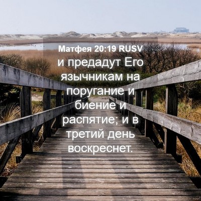 Picture 04 - Матфея 20:19 RUSV - и предадут Его язычникам - Bible Verse Picture
