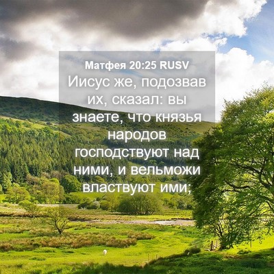 Picture 04 - Матфея 20:25 RUSV - Иисус же, подозвав их, - Bible Verse Picture