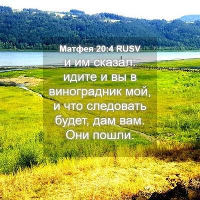 Picture 04 - Матфея 20:4 RUSV - и им сказал: идите и вы в - Bible Verse Picture