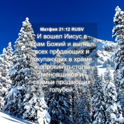 Picture 04 - Матфея 21:12 RUSV - И вошел Иисус в храм Божий - Bible Verse Picture