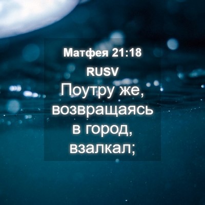 Picture 04 - Матфея 21:18 RUSV - Поутру же, возвращаясь в - Bible Verse Picture
