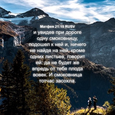 Picture 04 - Матфея 21:19 RUSV - и увидев при дороге одну - Bible Verse Picture