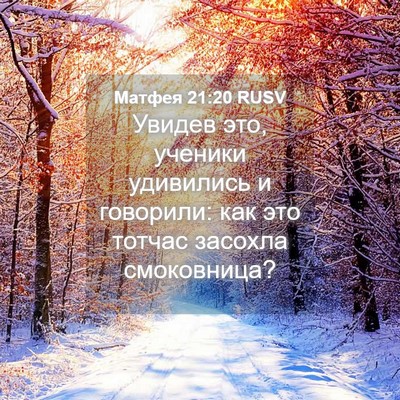 Picture 04 - Матфея 21:20 RUSV - Увидев это, ученики - Bible Verse Picture