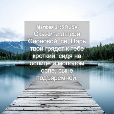 Picture 04 - Матфея 21:5 RUSV - Скажите дщери Сионовой: се, - Bible Verse Picture