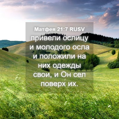 Picture 04 - Матфея 21:7 RUSV - привели ослицу и молодого - Bible Verse Picture