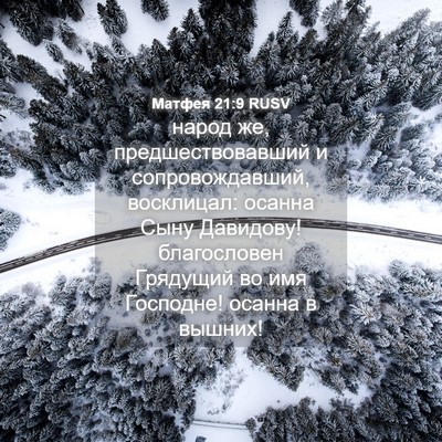 Picture 04 - Матфея 21:9 RUSV - народ же, предшествовавший - Bible Verse Picture