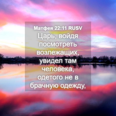 Picture 04 - Матфея 22:11 RUSV - Царь, войдя посмотреть - Bible Verse Picture