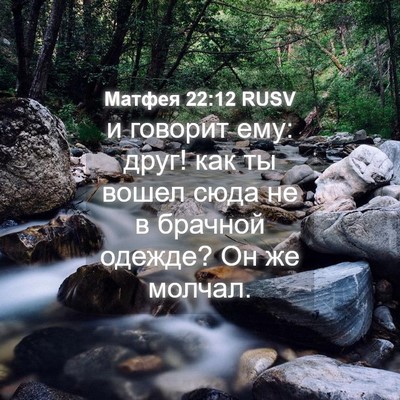 Picture 04 - Матфея 22:12 RUSV - и говорит ему: друг! как ты - Bible Verse Picture